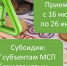 Конкурс на предоставление субсидий - Верхнебуреинский район