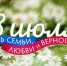 День семьи, любви и верности отметят завтра в Хабаровском крае - Верхнебуреинский район